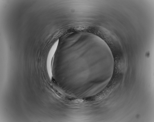X0000098190227200805081055