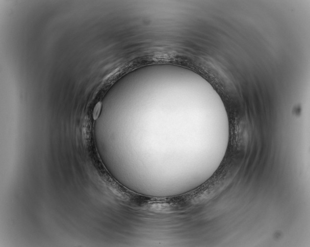X0000098190228200805081055