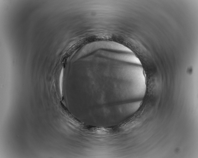 X0000098190229200805081055