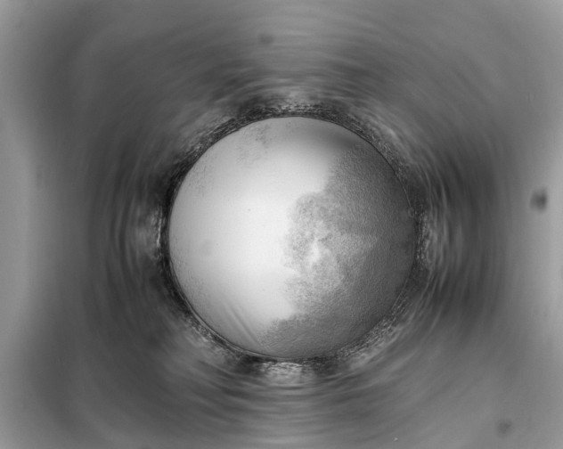 X0000098190230200805081055