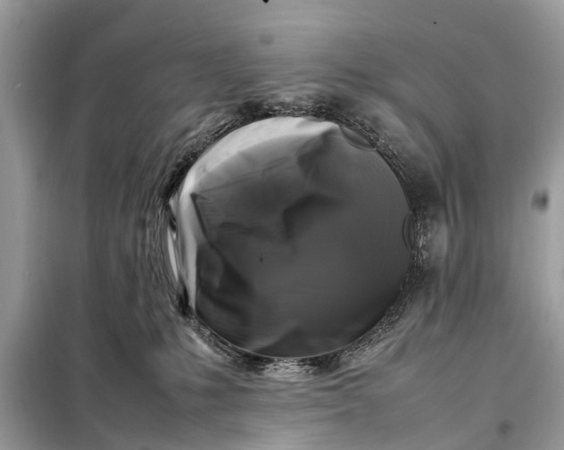 X0000098190231200805081055