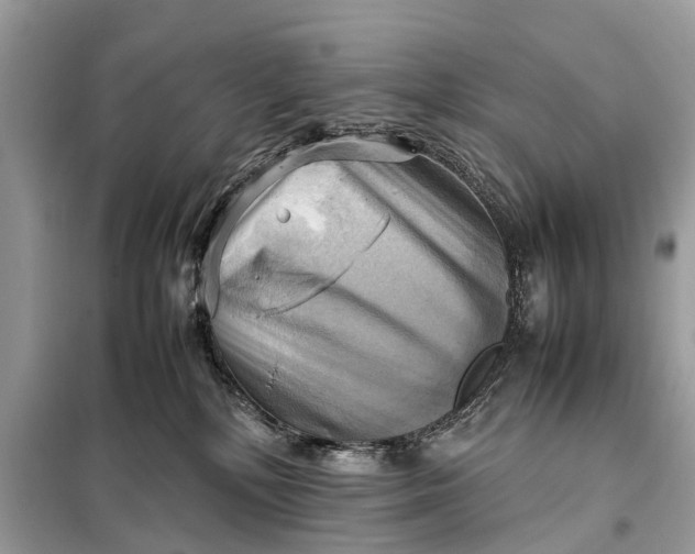 X0000098190232200805081055