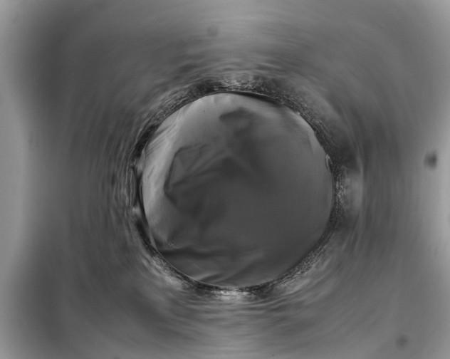 X0000098190233200805081055