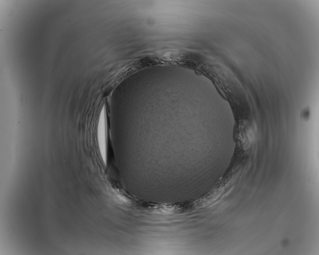 X0000098190235200805081055