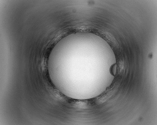 X0000098190236200805081055