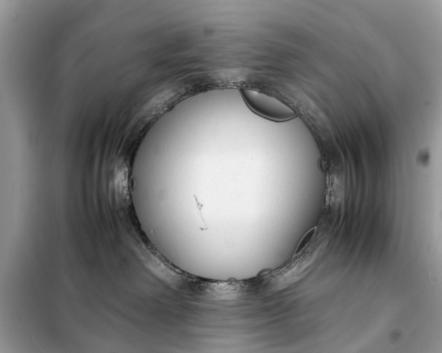 X0000098190238200805081055