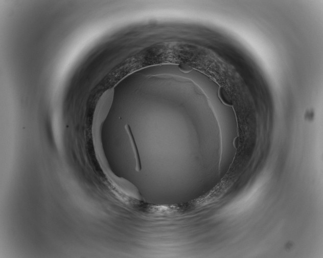 X0000098190239200805081055