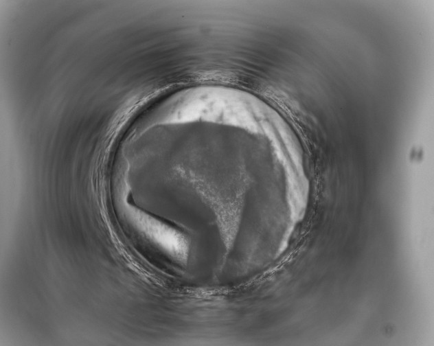 X0000098190241200805081054