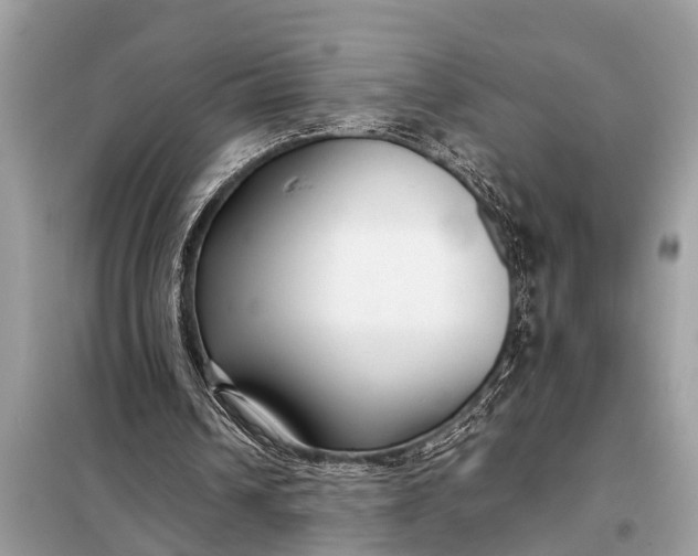 X0000098190242200805081054