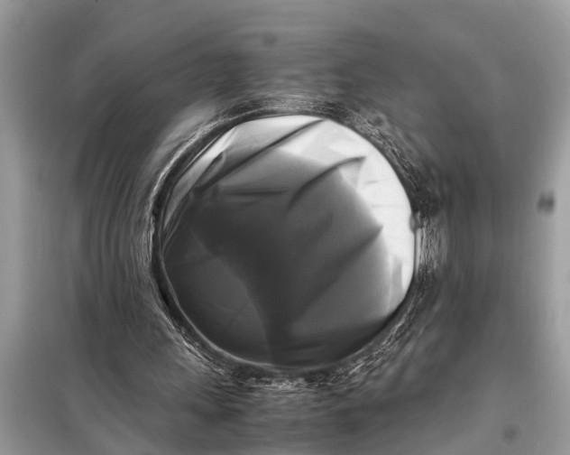 X0000098190243200805081054