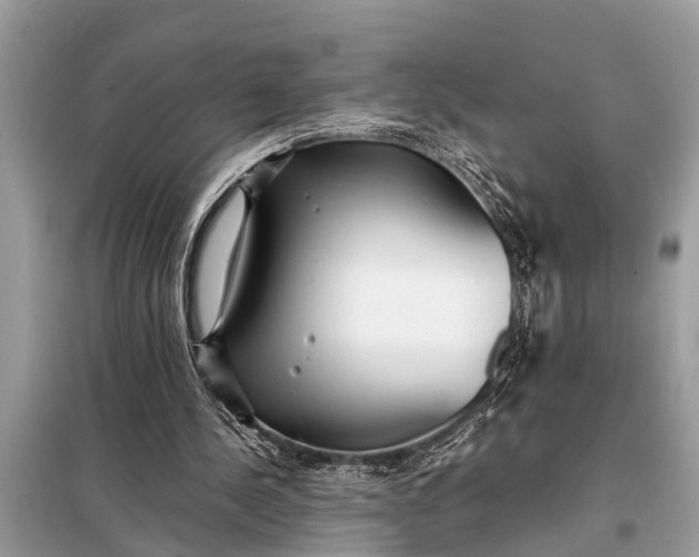 X0000098190244200805081054
