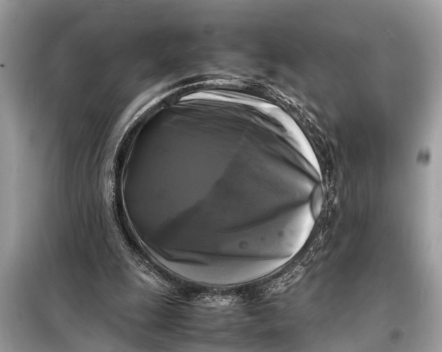 X0000098190247200805081054