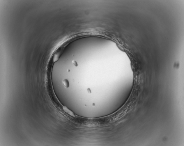 X0000098190248200805081054