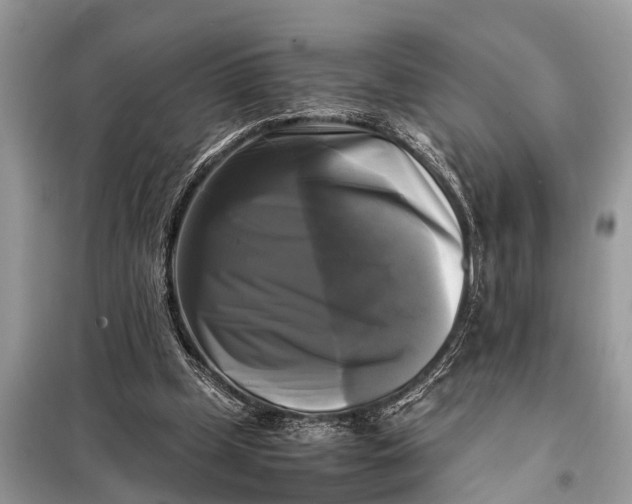 X0000098190249200805081054