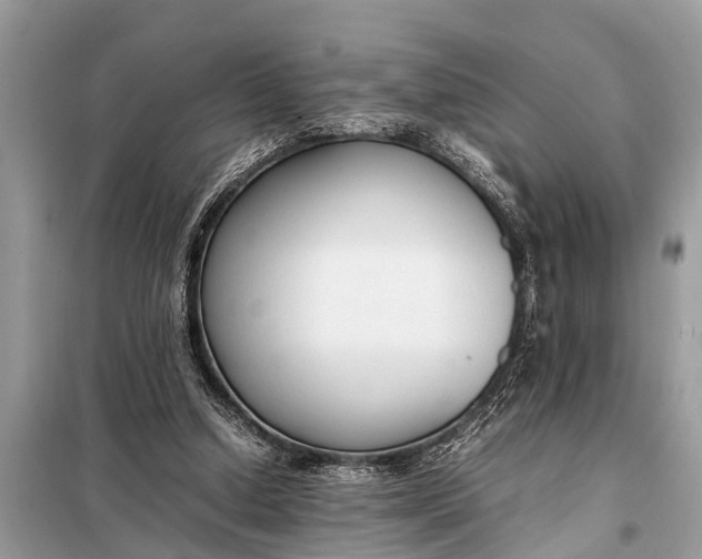 X0000098190250200805081054