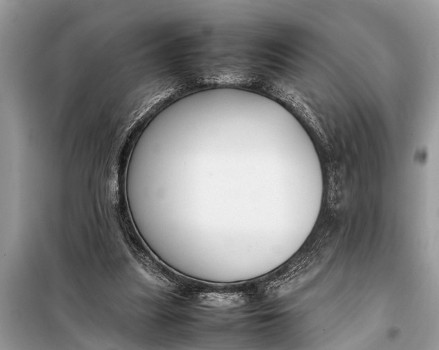 X0000098190251200805081054