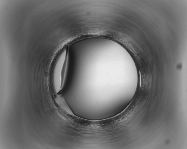 X0000098190252200805081054