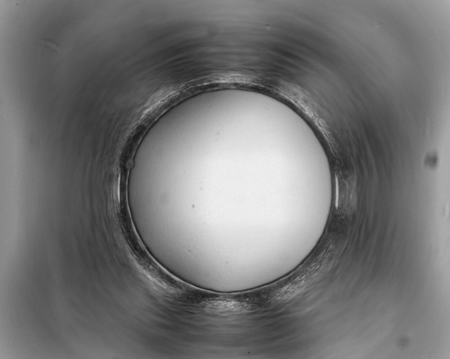X0000098190253200805081054