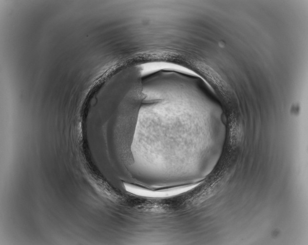 X0000098190254200805081054