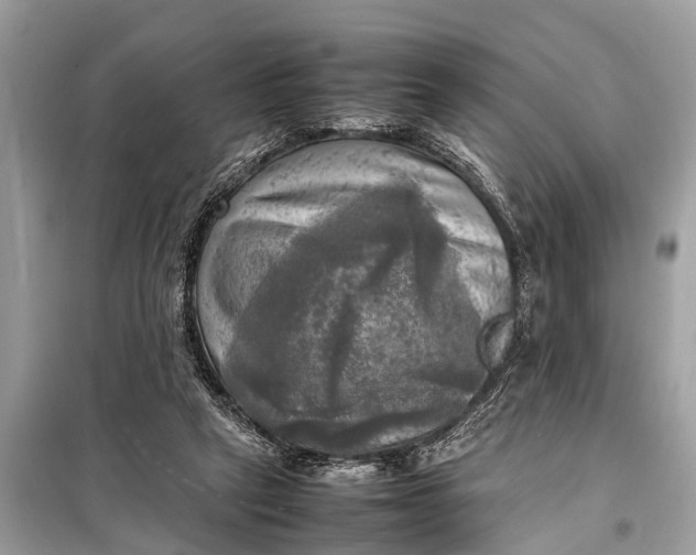 X0000098190257200805081054