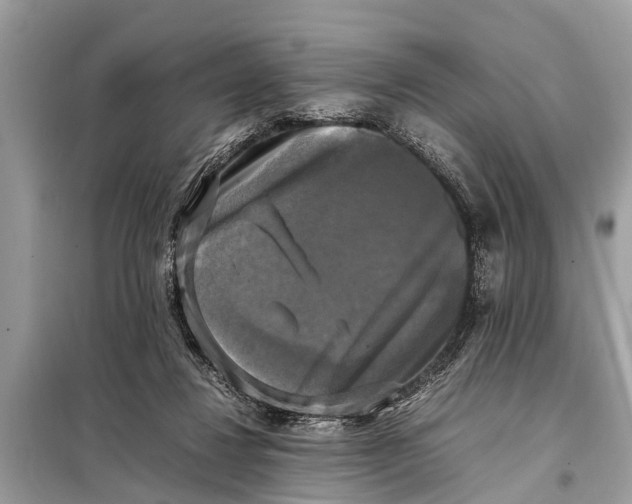 X0000098190260200805081055