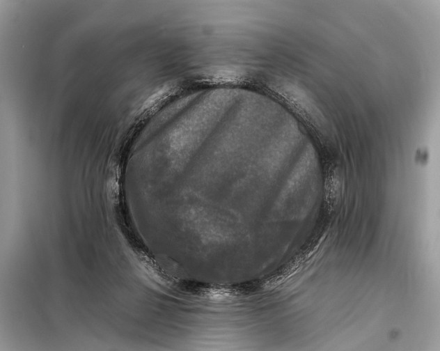 X0000098190264200805081055
