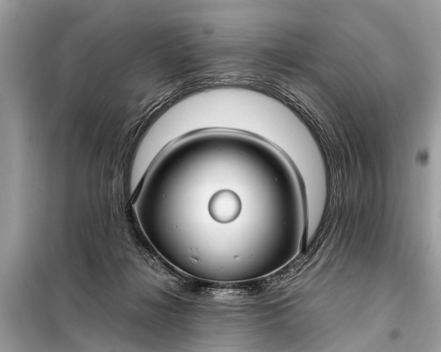 X0000098190268200805081055