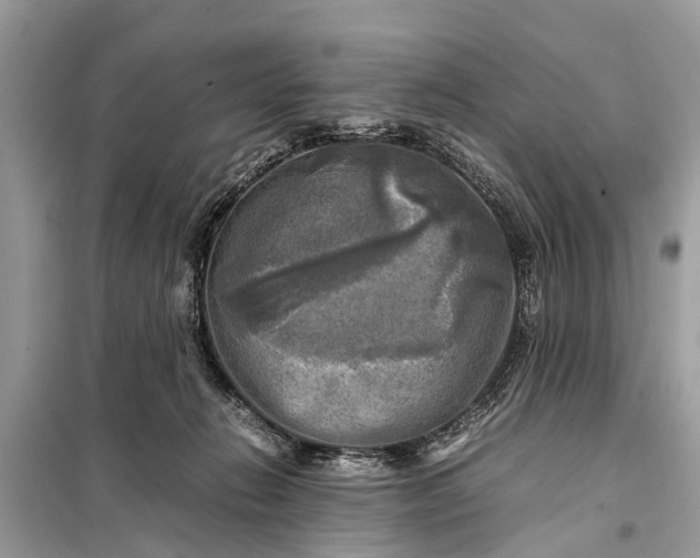 X0000098190270200805081055