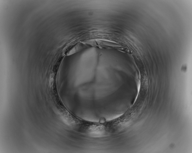 X0000098190271200805081055