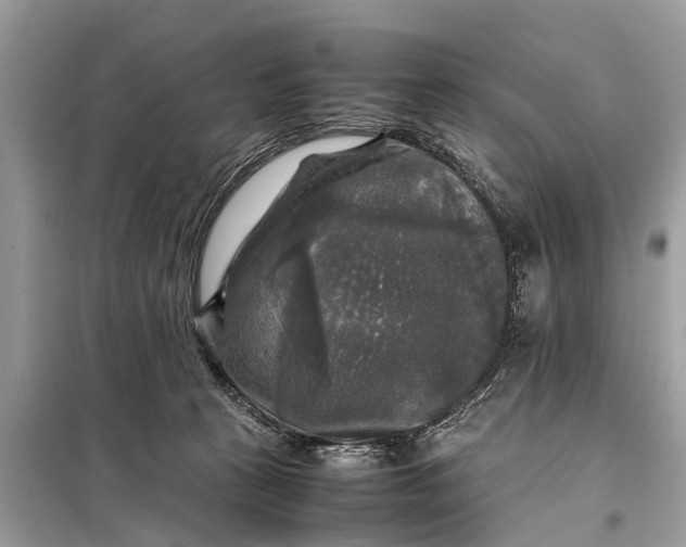 X0000098190273200805081055