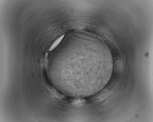 X0000098190274200805081055
