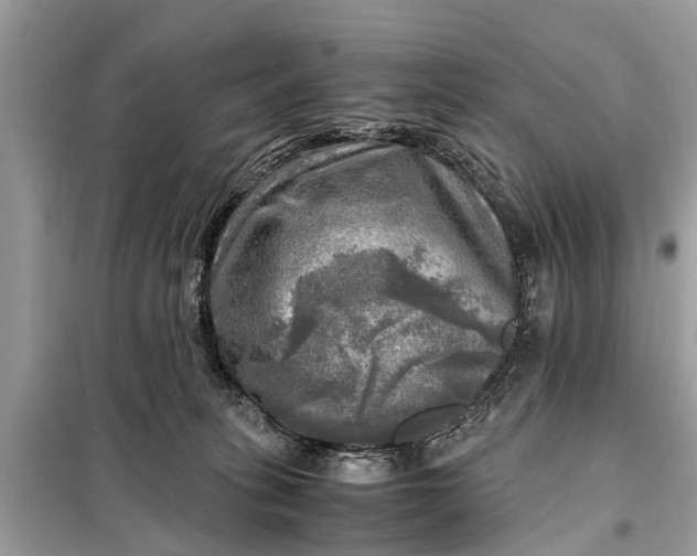 X0000098190275200805081055