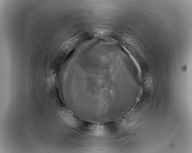 X0000098190276200805081055