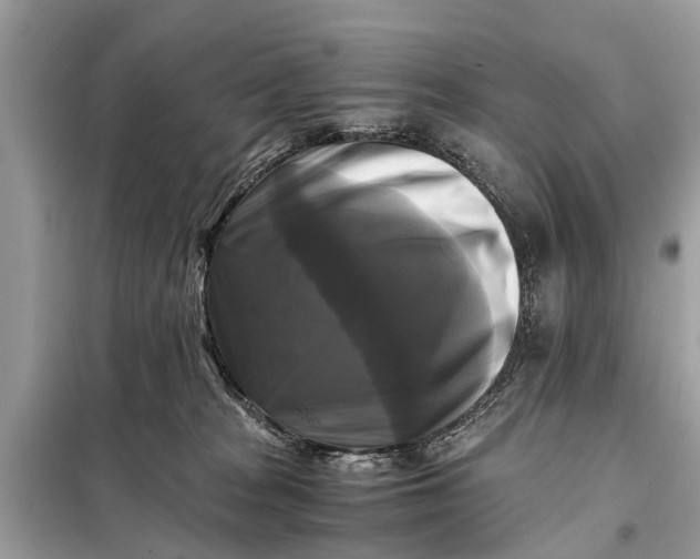 X0000098190277200805081055