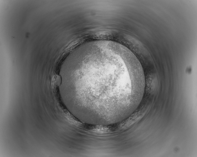 X0000098190278200805081055
