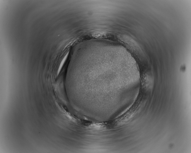 X0000098190280200805081055