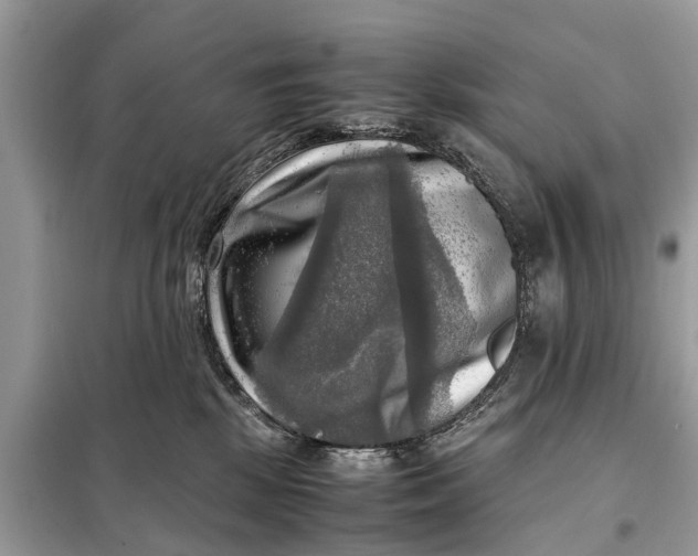 X0000098190281200805081055