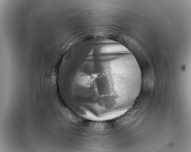 X0000098190282200805081055