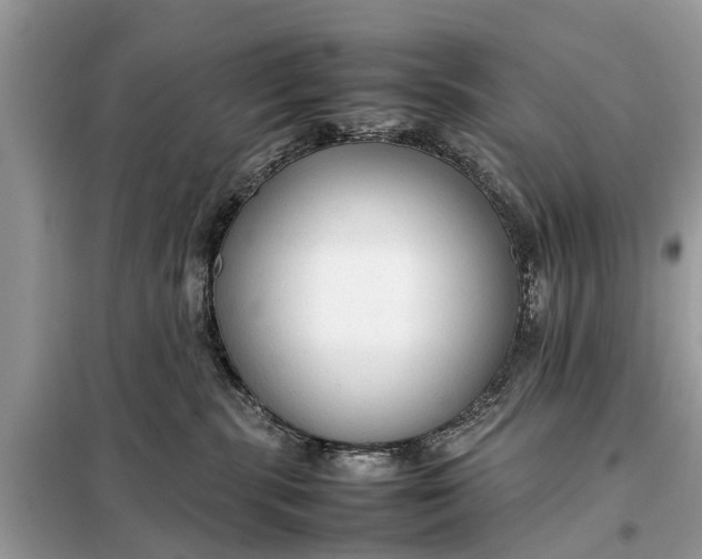 X0000098190283200805081055
