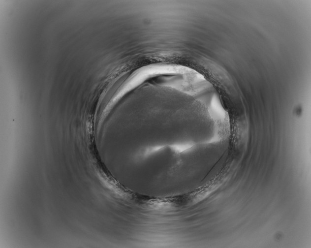 X0000098190284200805081055