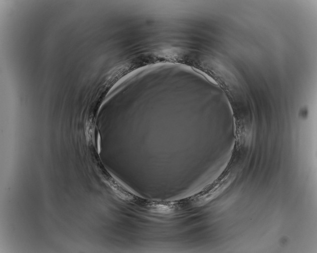 X0000098190285200805081055