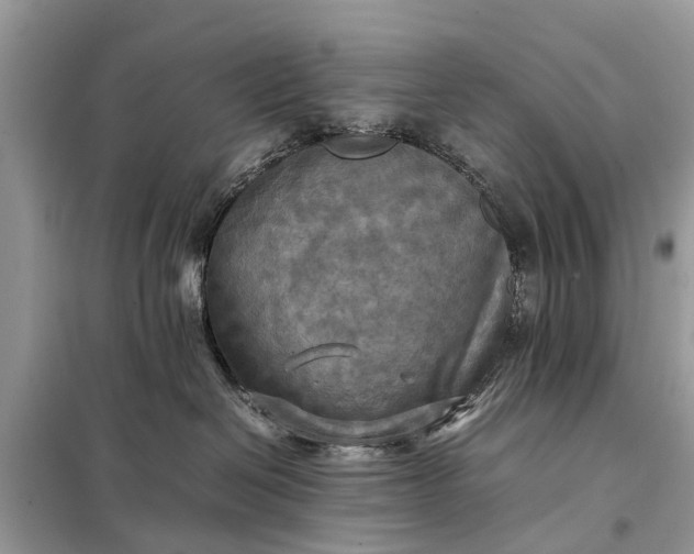 X0000098190286200805081055