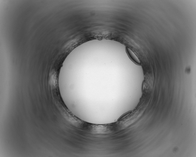 X0000098190287200805081055