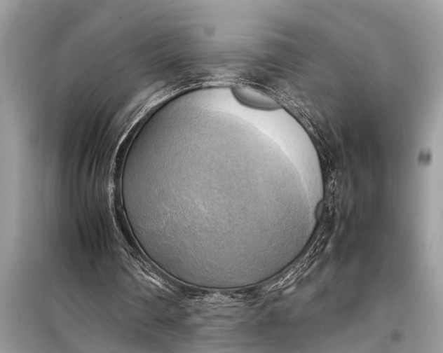 X0000098190290200805081054