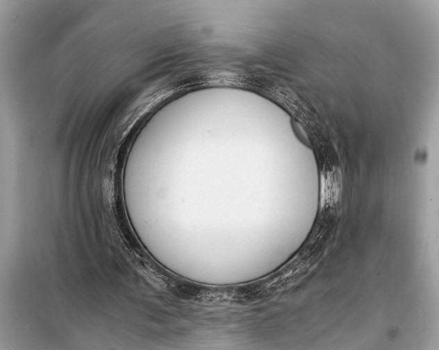 X0000098190291200805081054