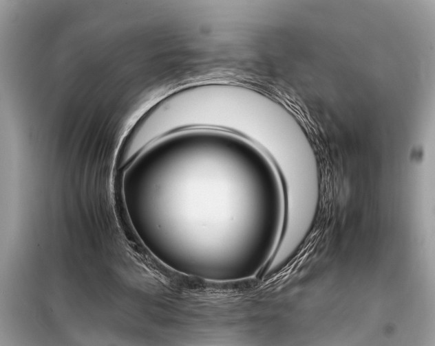 X0000098190292200805081054