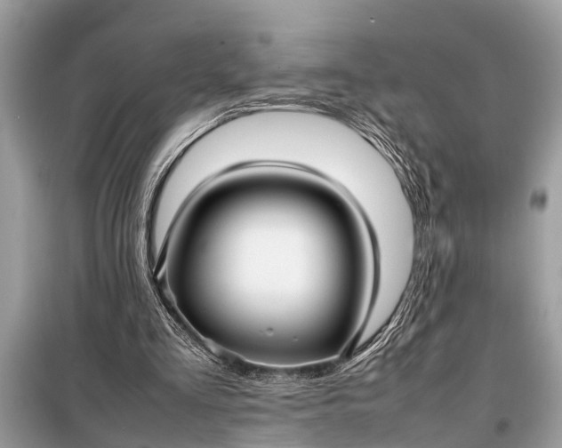 X0000098190293200805081054