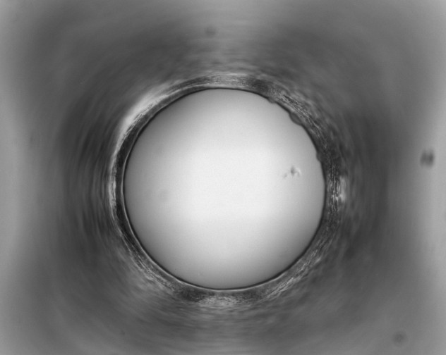 X0000098190294200805081054
