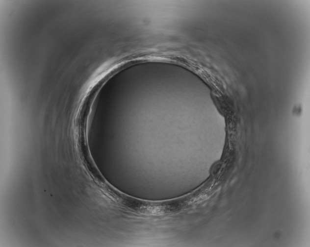 X0000098190295200805081054