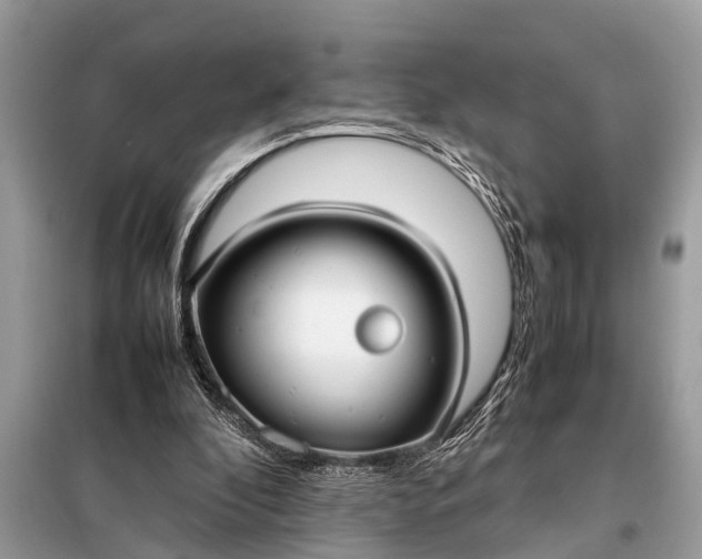 X0000098190296200805081054